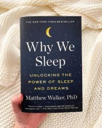 Why we sleep